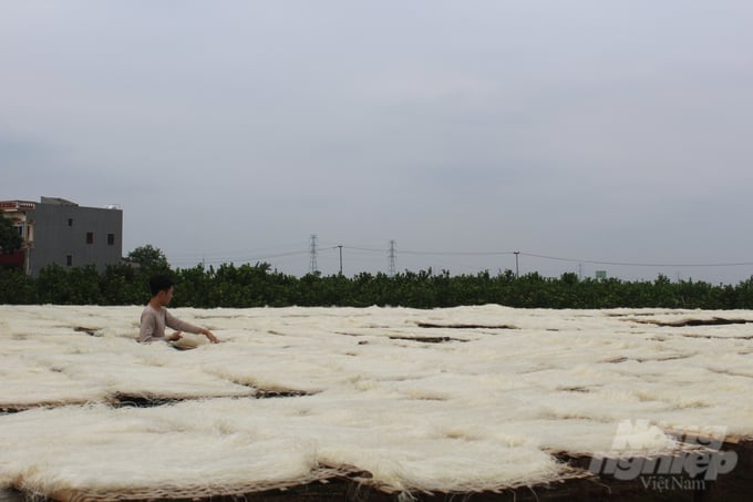 Drying vermicelli in the traditional craft village of Lai Trach vermicelli processing. Photo: Hai Tien.