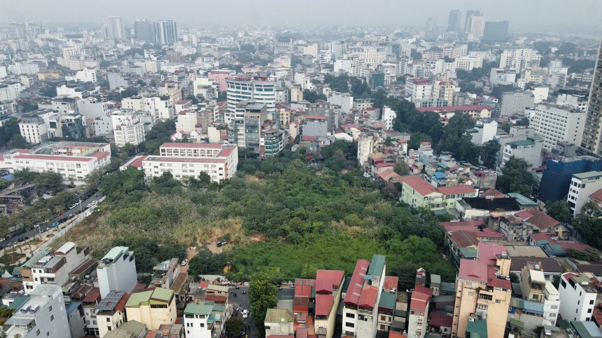 Unkraut wächst wild wie ein „Wald“ auf einem erstklassigen Grundstück in Hanoi und zerstört die Wohnfunktion. Foto 1