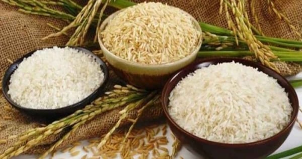 Why did Russia extend the ban on rice exports until December 31, 2023?