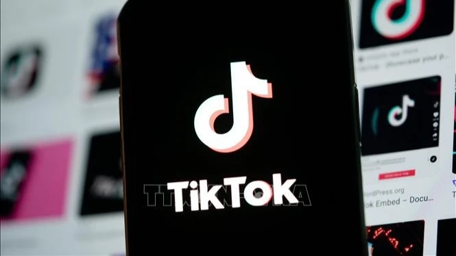 US President-elect suggests delaying TikTok ban