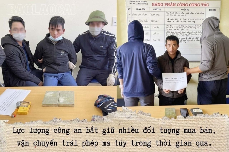 a5.jpg