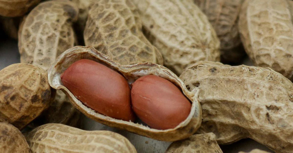 4 plantas que han demostrado científicamente que ayudan a reducir la presión arterial