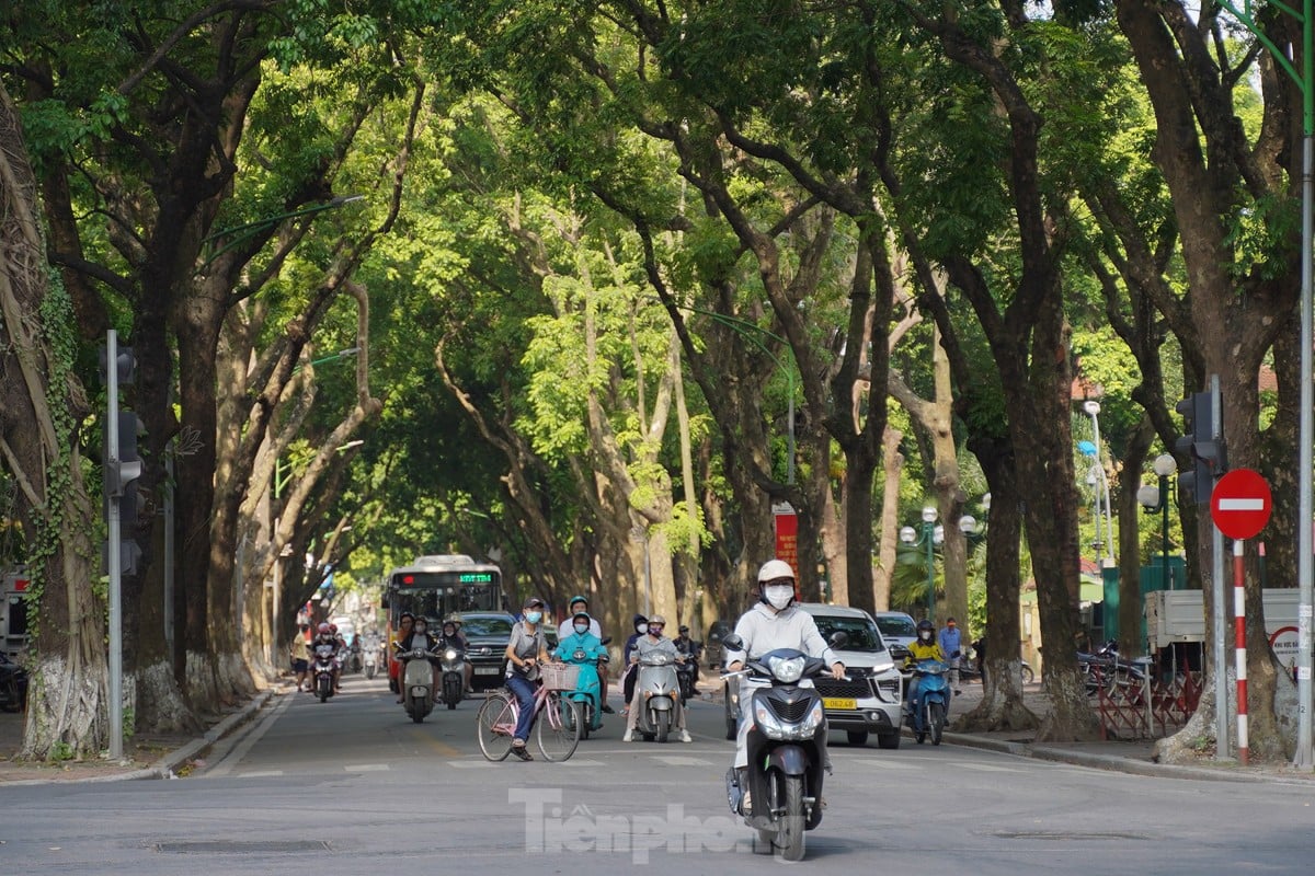 El otoño llama a la puerta, las musas se apresuran a registrarse en las calles de Hanoi foto 3