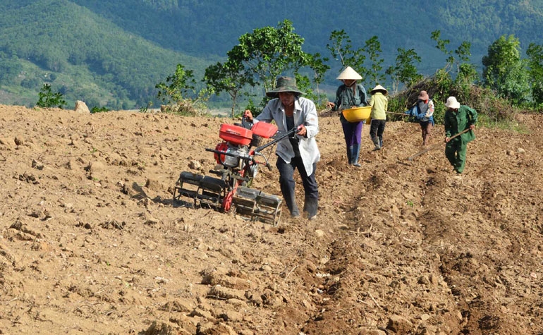 Nông dân Sông Hinh làm đất trồng sắn.