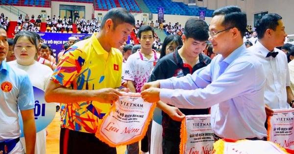 Más de 350 atletas participarán en el campeonato nacional de boxeo de 2024