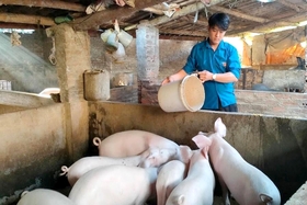 Acompañando a jóvenes a emprender un negocio