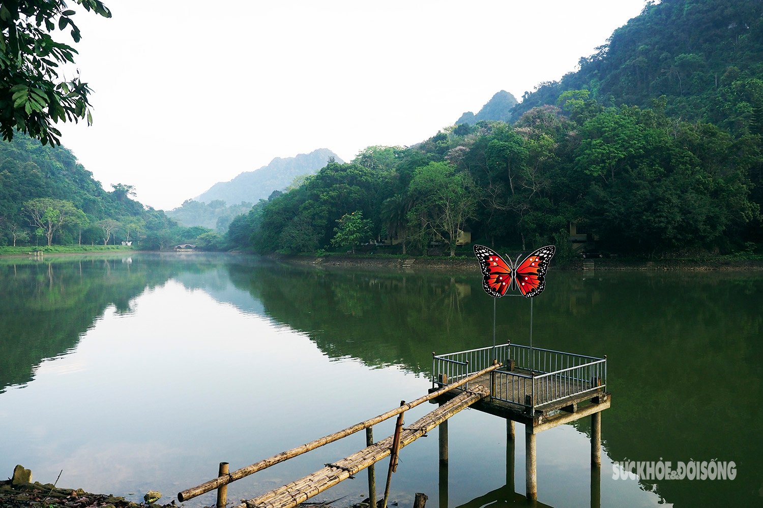 Perdu dans le « paradis des papillons » à Cuc Phuong
