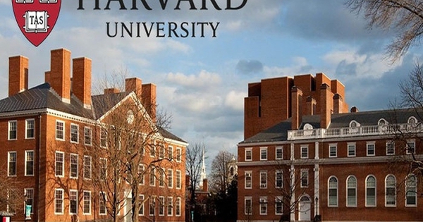 Mẹ đơn thân giúp con từ đứa trẻ bại não trở thành thạc sĩ Đại học Harvard