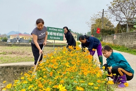 Phu Ninh district has 25km of flower roads made by women.