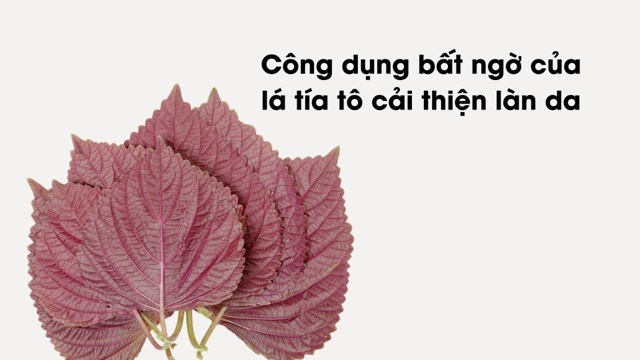 Unexpected uses of perilla leaves to improve skin
