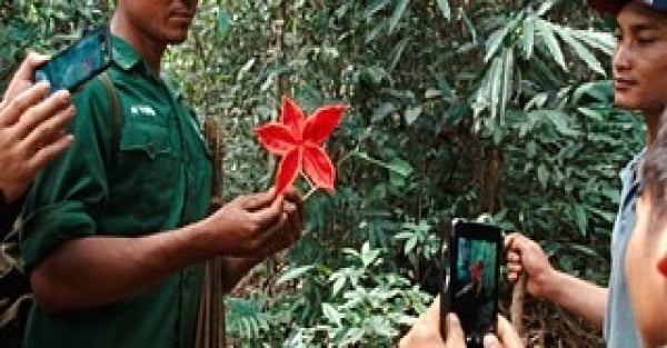 Lên tiếng cho mai sau