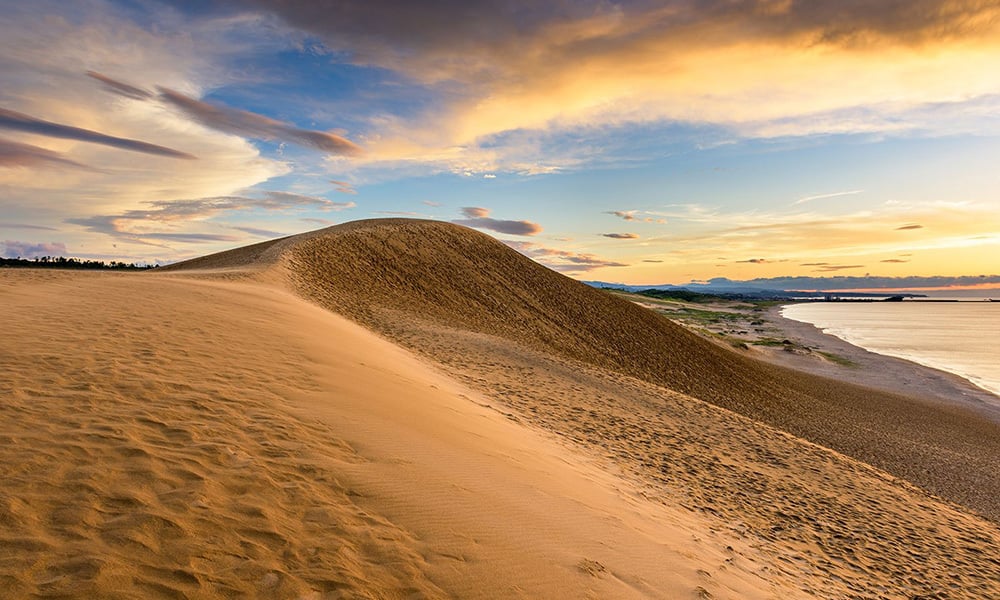 Japón lucha por evitar que sus “desiertos” se vuelvan verdes