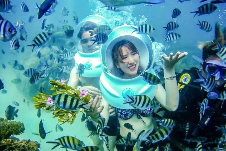 Tauchen, um Fische in Nha Trang zu sehen. (Foto: Internet)