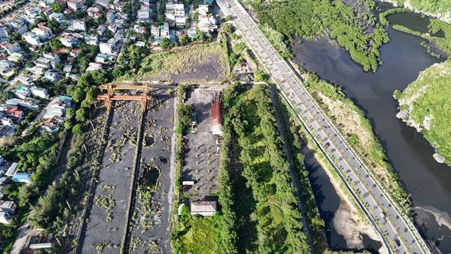 Le terrain « doré » pour construire un hôpital de 4 200 milliards est bloqué dans le défrichement à Quang Ninh, photo 7