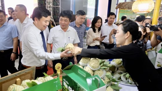 Apertura del mercado que trae productos agrícolas de la sierra a la capital