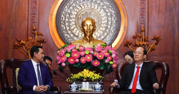 Une délégation de haut rang de la province de Champassak visite et travaille à Ho Chi Minh-Ville