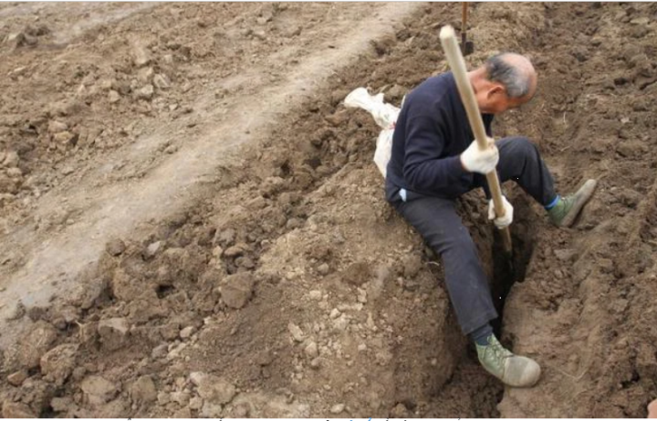 En volant des objets dans une tombe ancienne, un vieux fermier s'est retrouvé soudainement confronté à un grand « désastre » après quelques années - 1