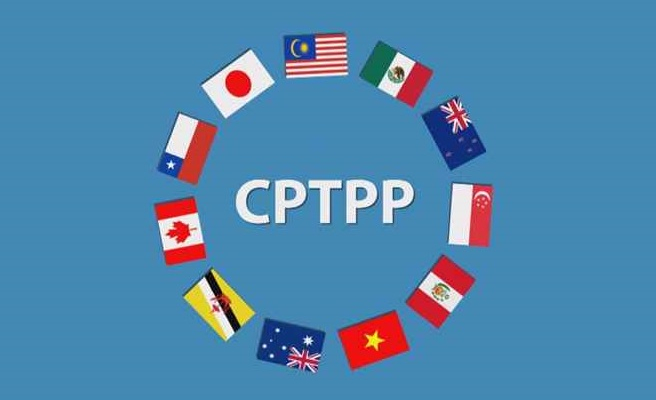 Великобритания стала первой европейской страной, присоединившейся к CPTPP