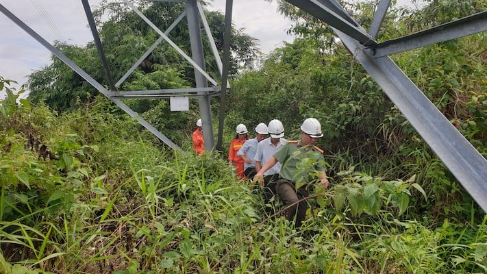 Phối hợp với các cơ quan chức năng tại địa phương tăng cường kiểm tra bảo vệ an toàn hành lang lưới điện truyền tải. 