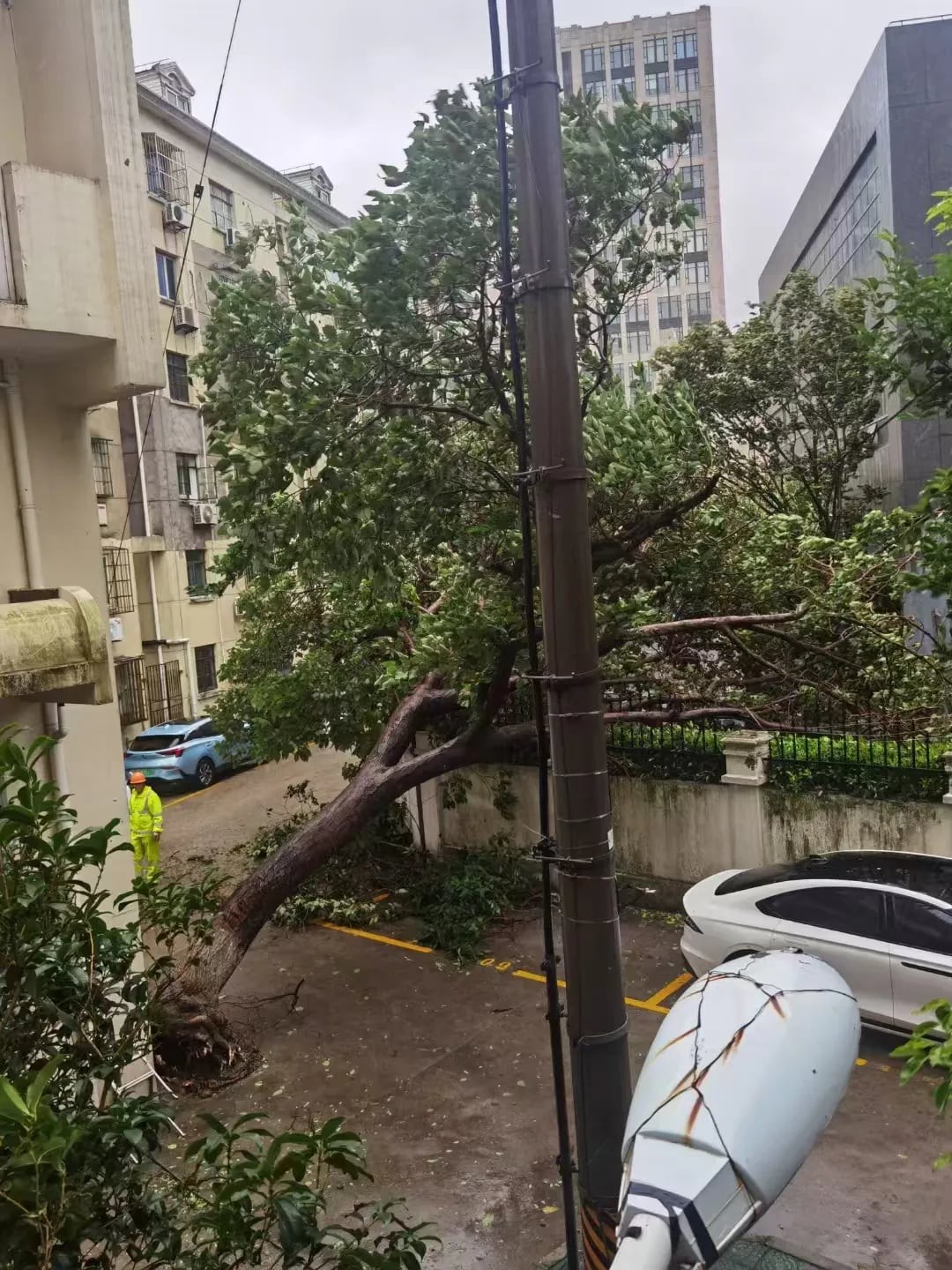 台風ベビンカが中国上海市を襲う 写真3