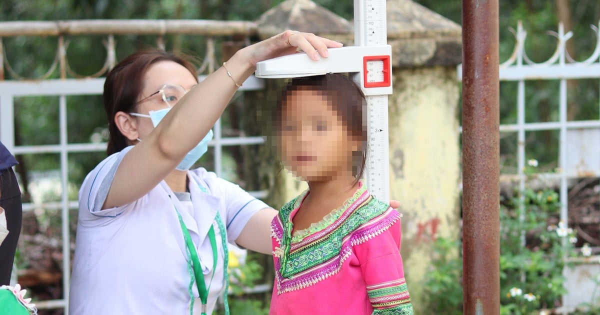 Plus de 3 600 enfants ont été dépistés pour détecter un retard de croissance et une malnutrition.