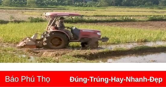 Cho sản xuất vụ Mùa thắng lợi