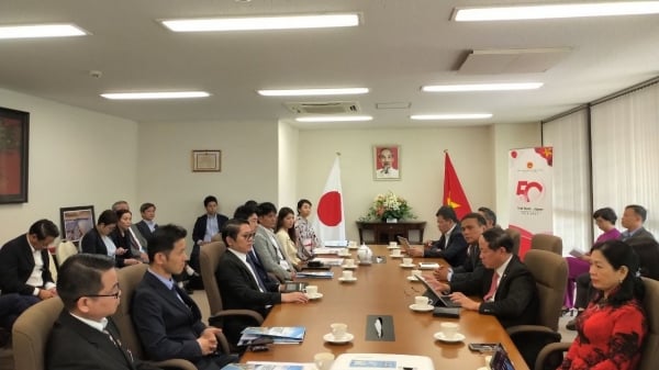 Stärkung der Verbindungen zwischen Unternehmen in Binh Dinh und Osaka (Japan)