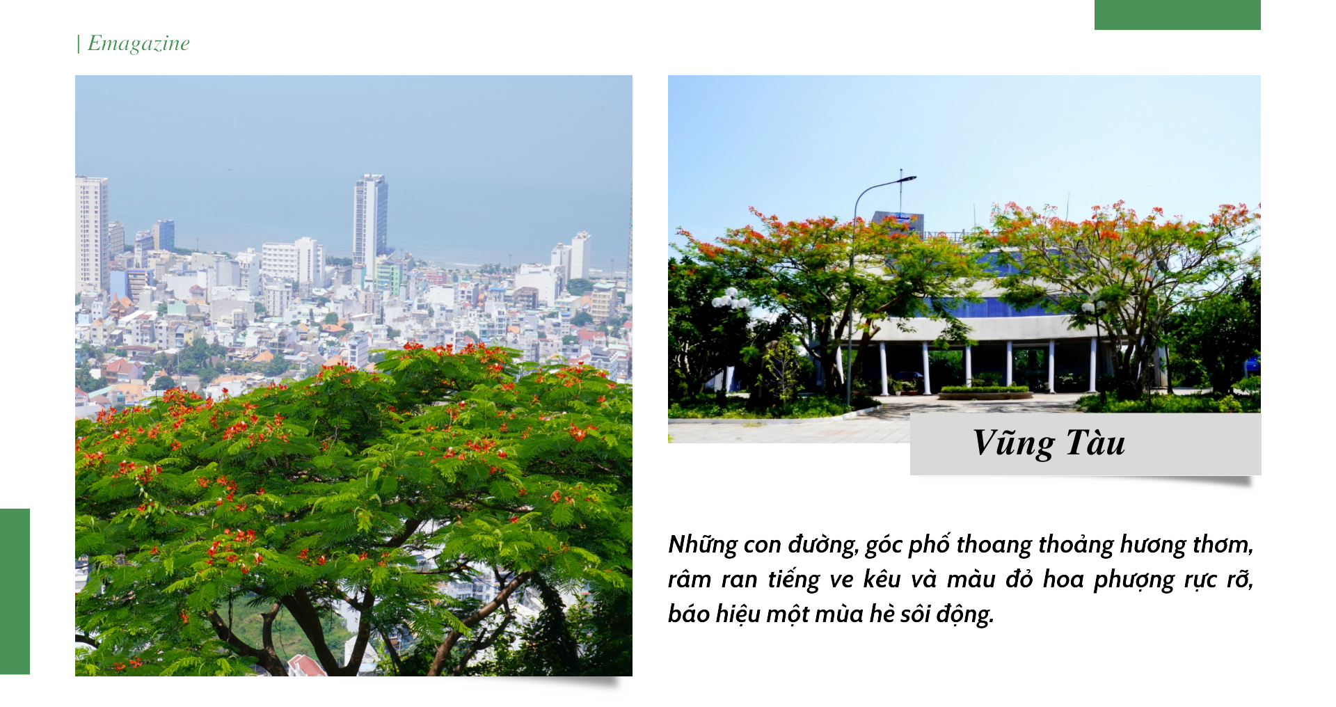 Vung Tau - the red phoenix flower city of the South - Photo 4