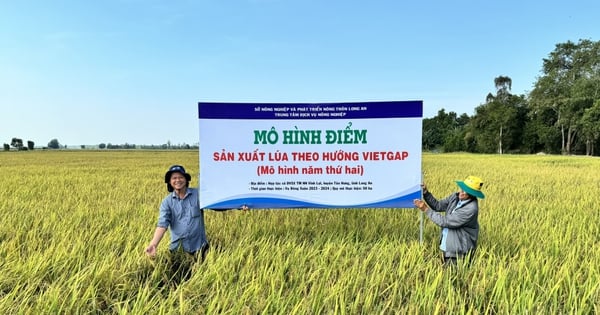 Cần quy định VietGAP trở thành tiêu chuẩn bắt buộc khi sản xuất nông sản