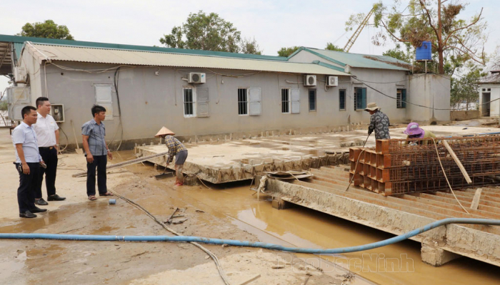 Tuyên truyền rộng rãi chính sách ưu đãi thuế đến người dân, doanh nghiệp bị thiệt hại do bão số 3