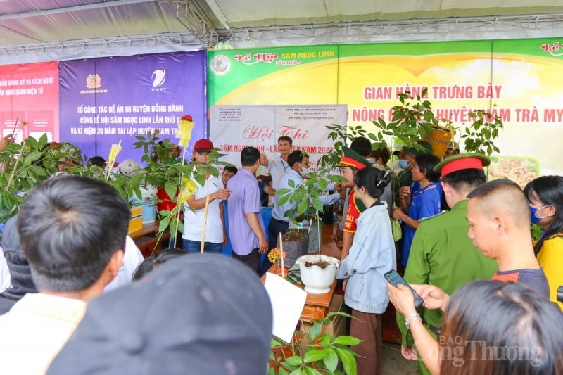 Quang Nam: Priorizar la prevención de la publicidad y la venta de productos falsificados de ginseng Ngoc Linh en las redes sociales.