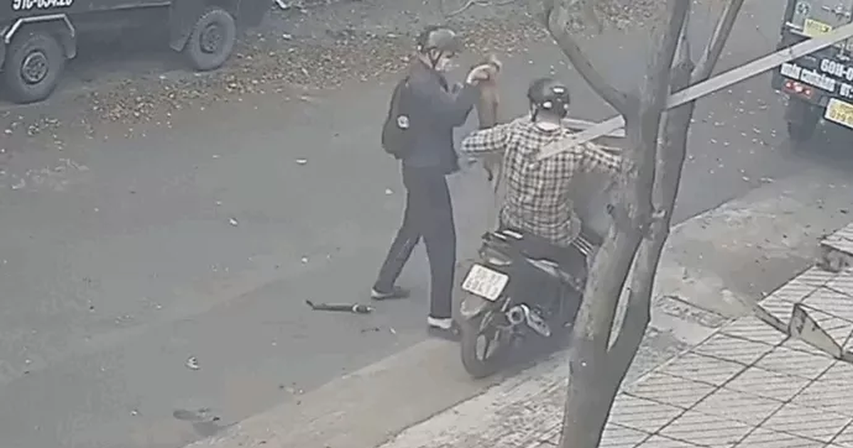 Prosecuted 2 dog thieves in Ho Chi Minh City who were knocked down by a car driver