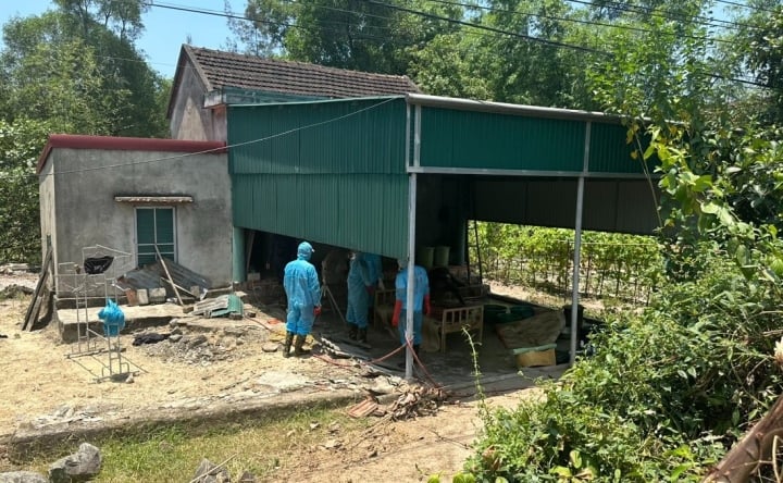 Hallan cuerpos en descomposición de madre e hijo en Ha Tinh - 1