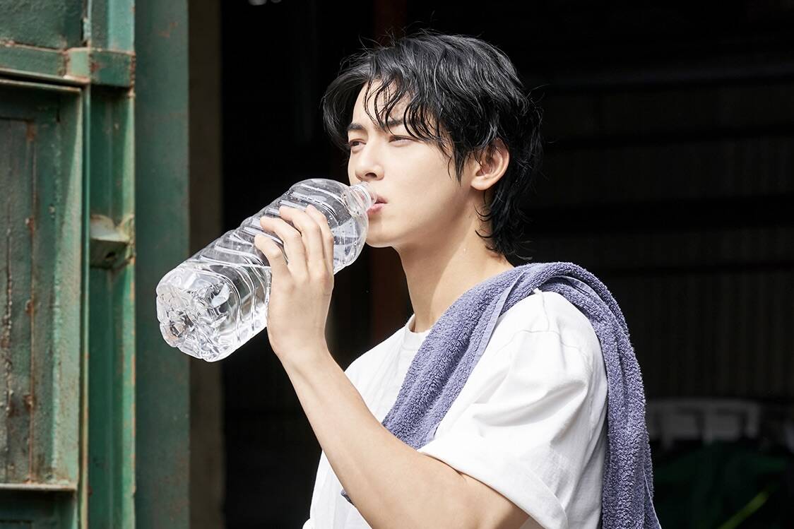 Vai diễn của Cha Eun Woo trong 