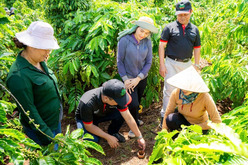 ផែនការ NESCAFÉ - ដំណើរ​ការ​ជិត 14 ឆ្នាំ​នៃ​ការ​ផ្លាស់​ប្តូរ​វិធីសាស្ត្រ​ដាំ​កាហ្វេ​យ៉ាង​ខ្ជាប់ខ្ជួន​ឆ្ពោះ​ទៅ​រក​និរន្តរភាព