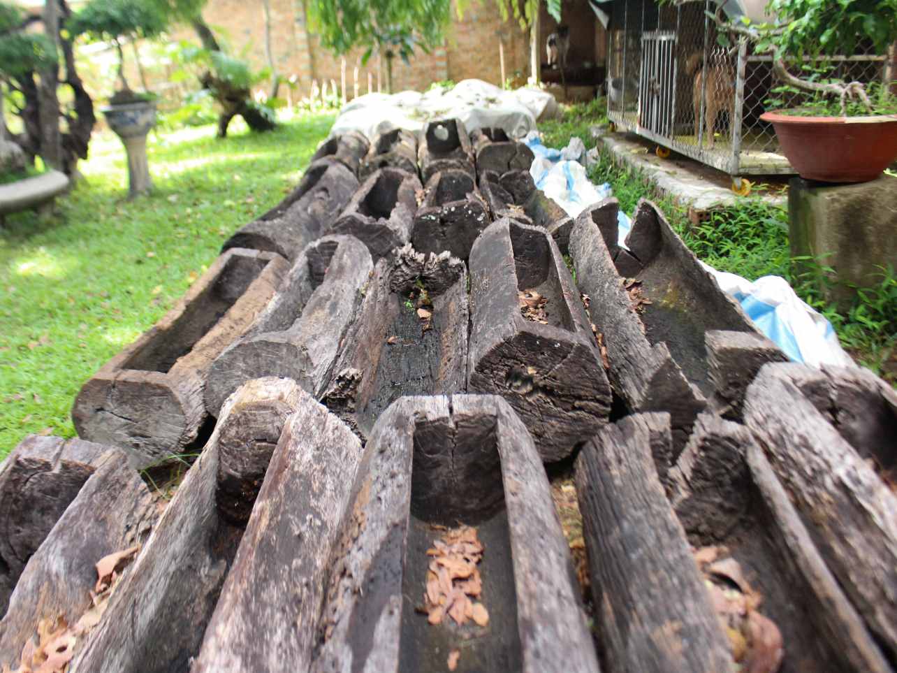 Colección de ataúdes de madera utilizados para enterrar a los muertos de minorías étnicas. Foto: Le Nguyen
