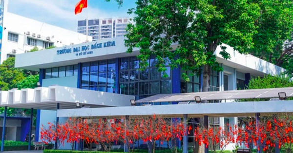 Which university has the most international standard training programs in Vietnam?