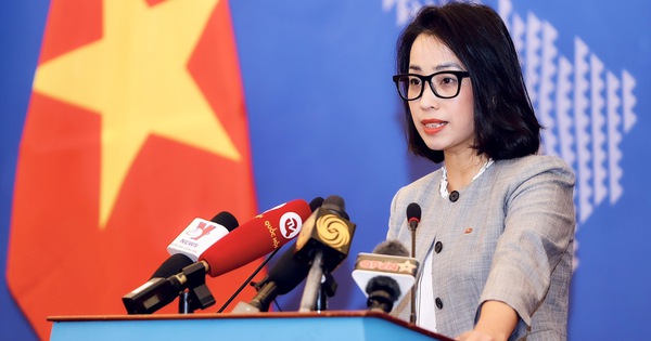 Déclaration du porte-parole du ministère des Affaires étrangères, Pham Thu Hang, le 27 mars 2024, en réponse à la question d'un journaliste demandant la réaction du Vietnam à l'adoption par le Conseil de sécurité des Nations Unies de la résolution 2728 sur un cessez-le-feu dans la bande de Gaza