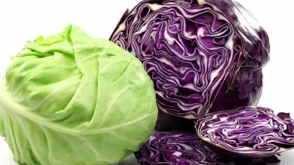 The effects of cruciferous vegetables in preventing skin aging