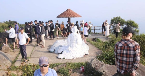 Da Nang plant Teetour wie Bill Gates