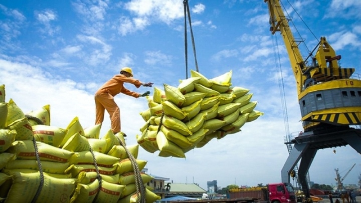 กระทรวงเกษตรและพัฒนาชนบทเพิ่งเสนอนายกรัฐมนตรีออกกฎกระทรวงเสริมสร้างการส่งออกข้าวในสถานการณ์ใหม่ (ภาพประกอบ: KT)