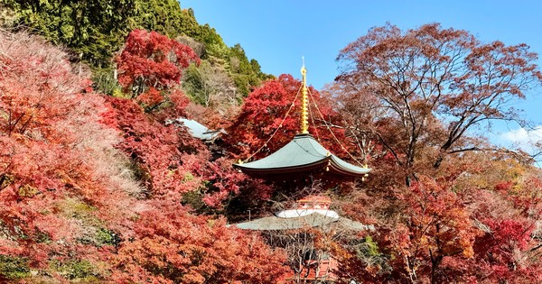 何千体ものだるまが保管されている秘密