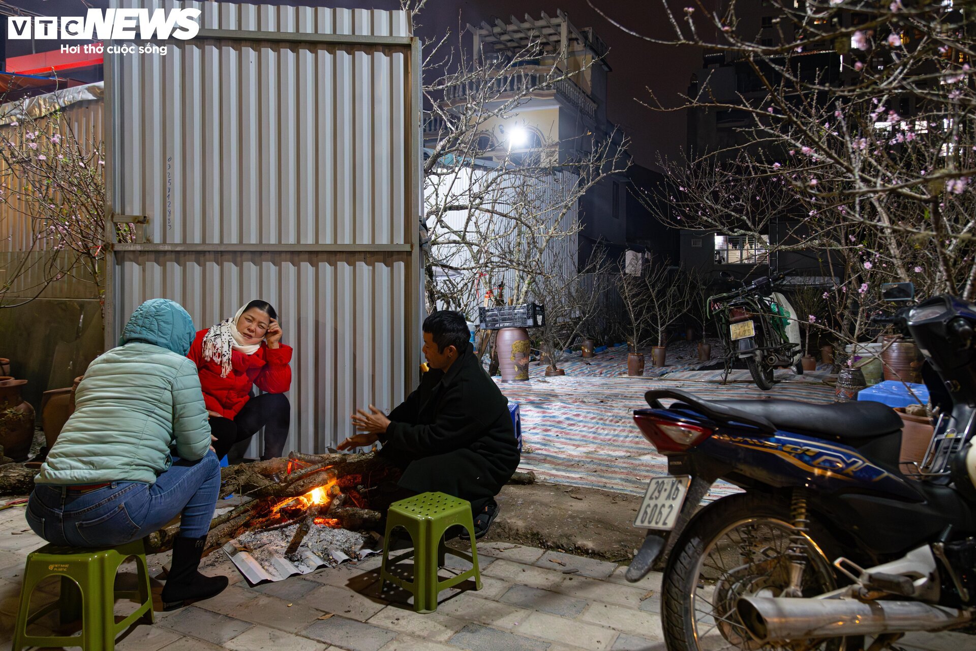 Los pequeños comerciantes luchan contra el frío extremo en Hanoi, quedándose despiertos toda la noche para cuidar los árboles de durazno y kumquat - 1