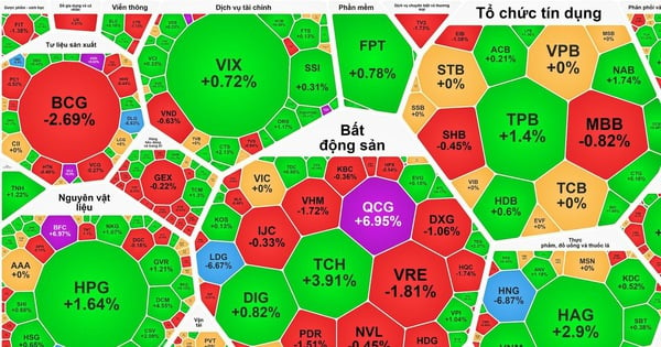 VN-Index tiếp đà hồi phục, cổ phiếu QCG và HVN tím trở lại