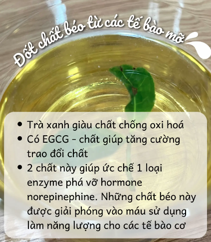 Top 12 món ăn vào bữa sáng giúp giảm cân, bớt thèm ăn vặt, sáng mai bạn áp dụng luôn nhé- Ảnh 12.