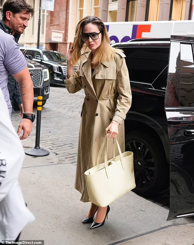 Angelina Jolie vi vu cùng con trai Pax Thiên - Ảnh 2.