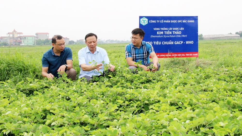 สู่โมเดลหลายค่า |=> เผยแพร่ในหนังสือพิมพ์ Bac Giang