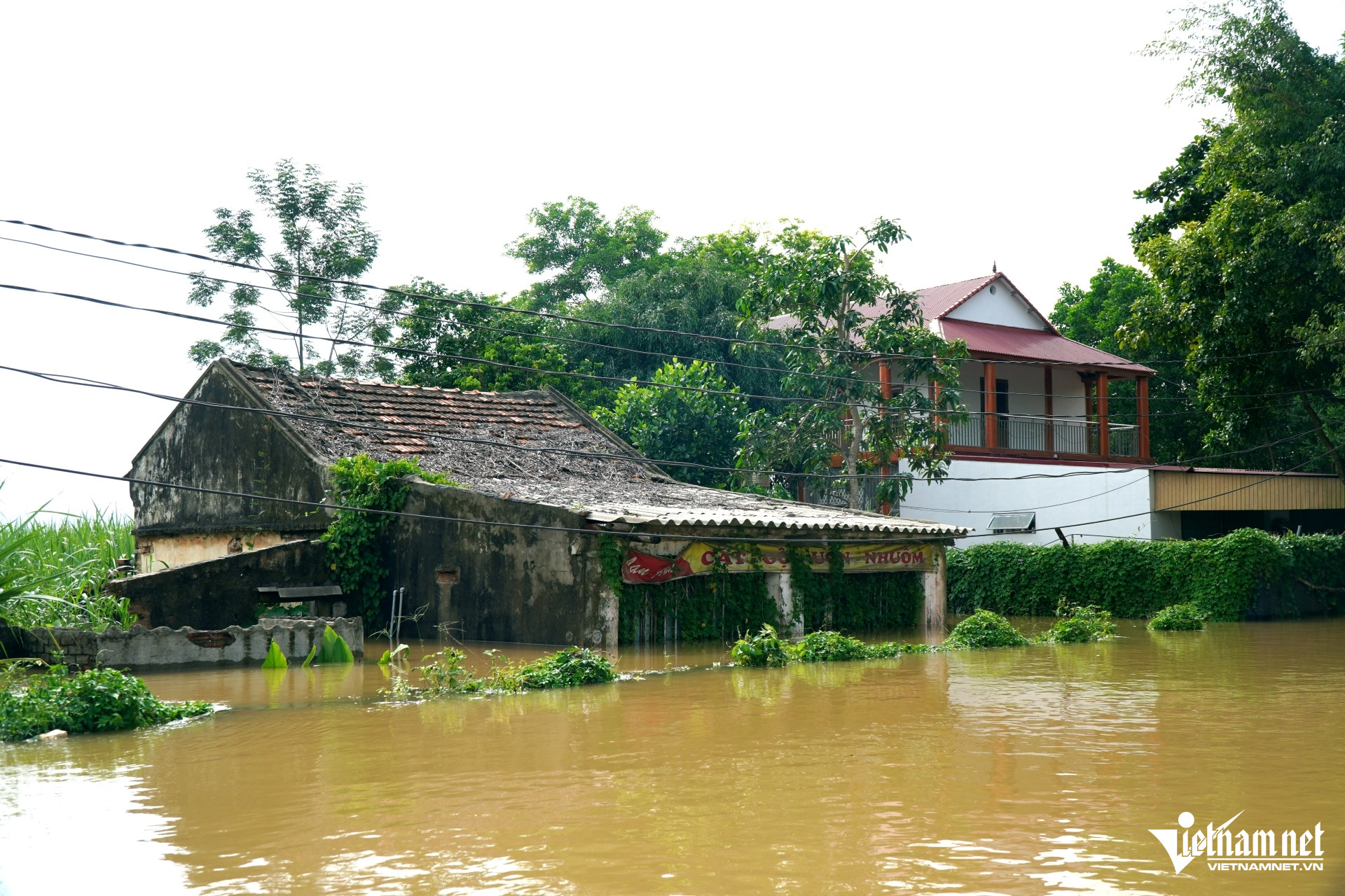 W-a2Nước lũ cao ngang ngực.jpg