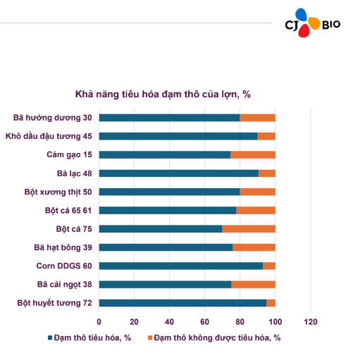 Loại thức ăn gì giúp người chăn nuôi 