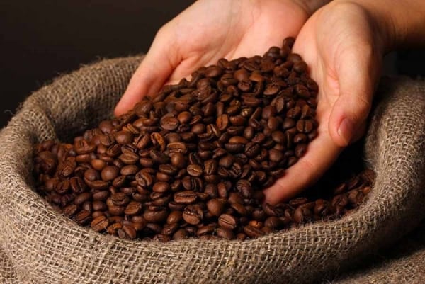 Los precios internos del café disminuyeron levemente